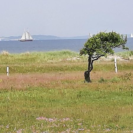 Wormshoeft 16 Hasselberg  Экстерьер фото